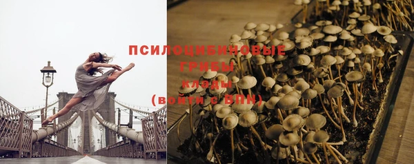винт Арсеньев